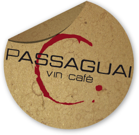 logo-passaguai